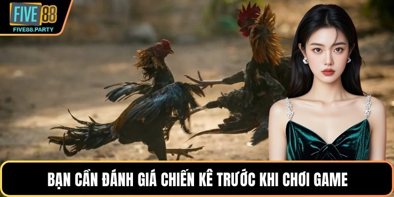 Đá gà Cựa dao – Bí Quyết Đấu Chiến Kê Hiệu Quả Tại Five88 Bạn cần đánh giá chiến kê trước khi chơi game