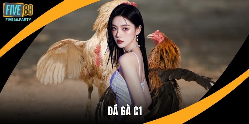 Đá gà C1 – Sân Chơi Đỉnh Cao Dành Cho Dân Cá Cược Five88