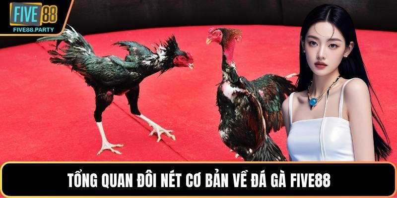 Tổng quan đôi nét cơ bản về đá gà Five88